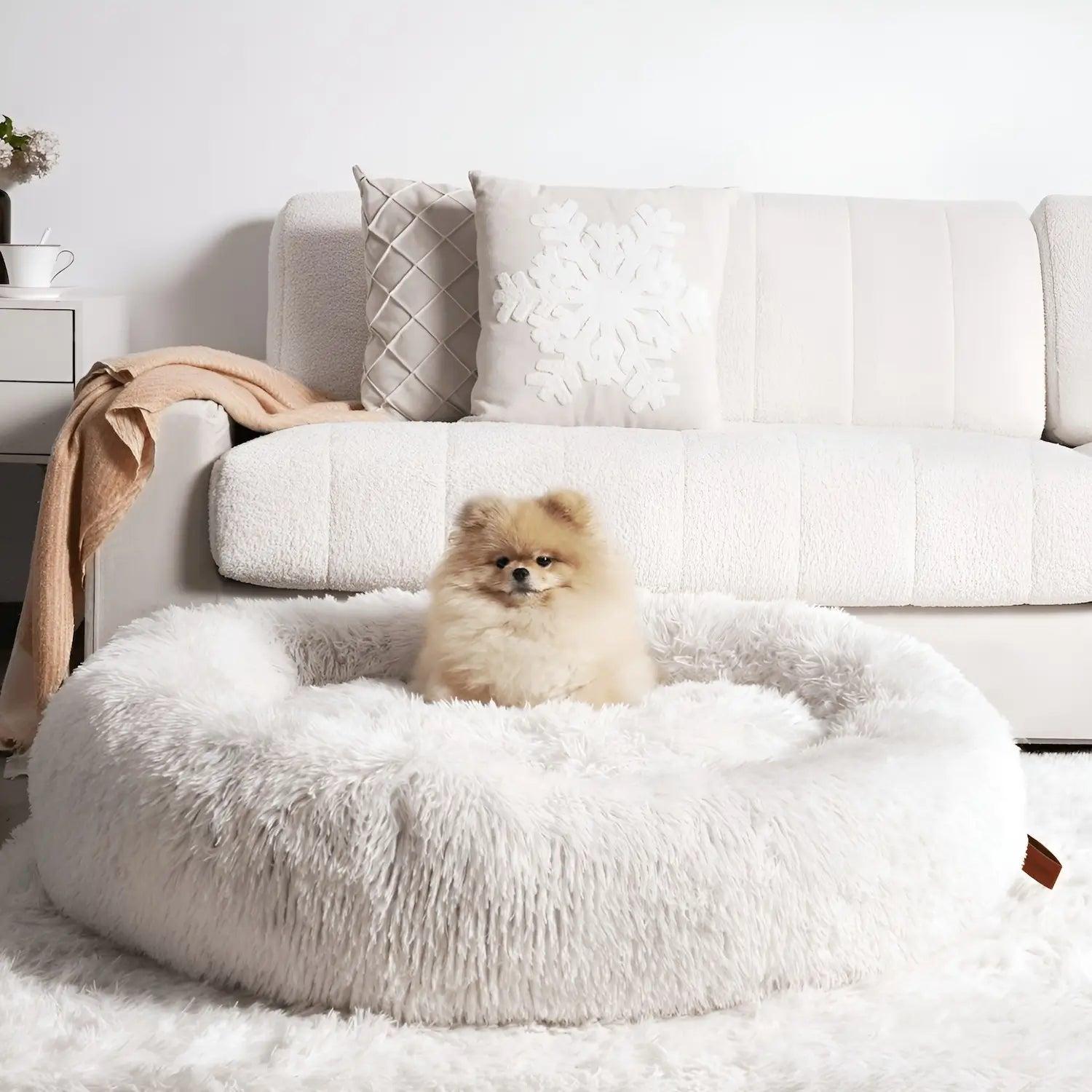 Calming Dog Bed