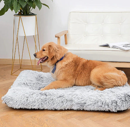 Memory Foam Plush Dog Mat