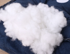 Cozy Pet Nest — Warm Calming Bed for Dogs