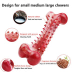 Durable Dog Toy for Aggressive Chewers