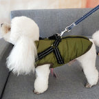Waterproof Dog Jacket with Harness