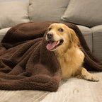 Plush Dog Blanket