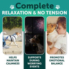 Hemp Calming Chews for Dogs