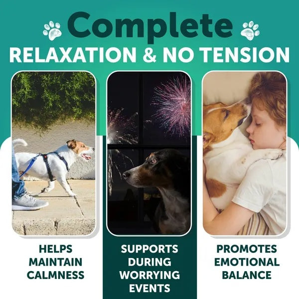 Hemp Calming Chews for Dogs