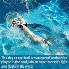 Inflatable Dog Soccer Ball