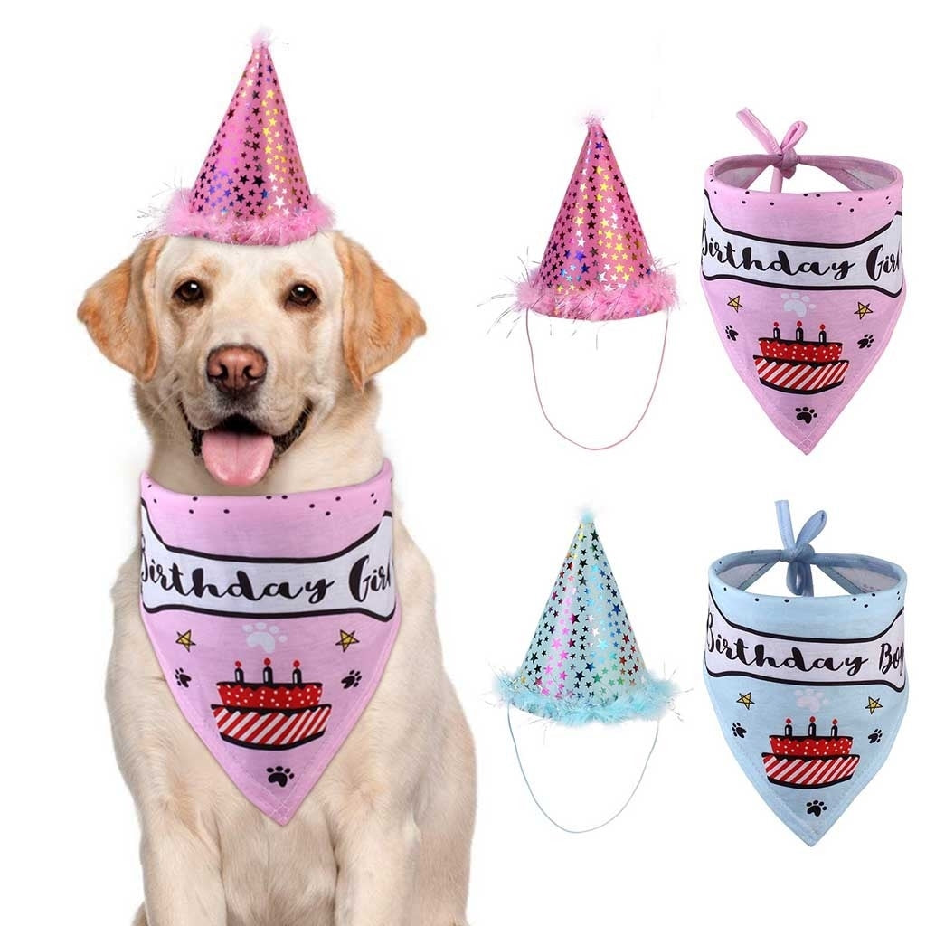 Dog Birthday Hat & Bandana Set