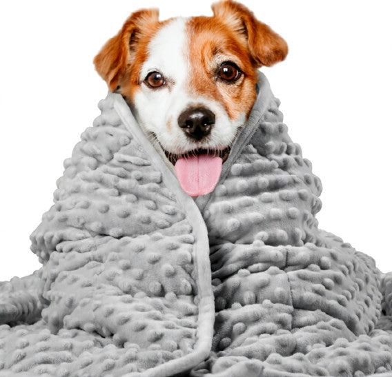 Dog Anxiety Blanket