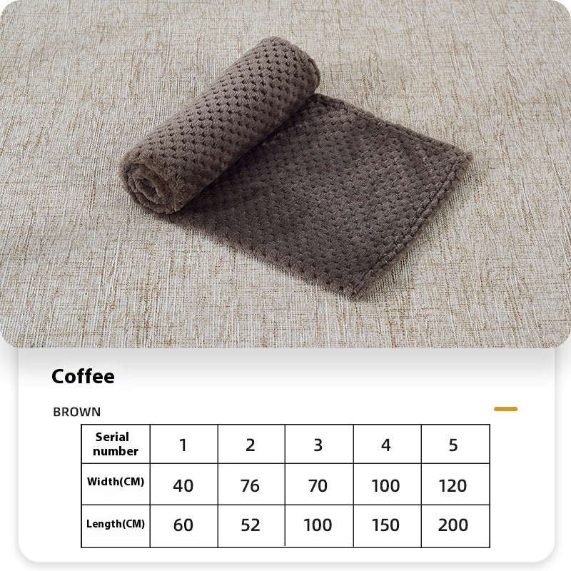 Coral Fleece Dog Blanket