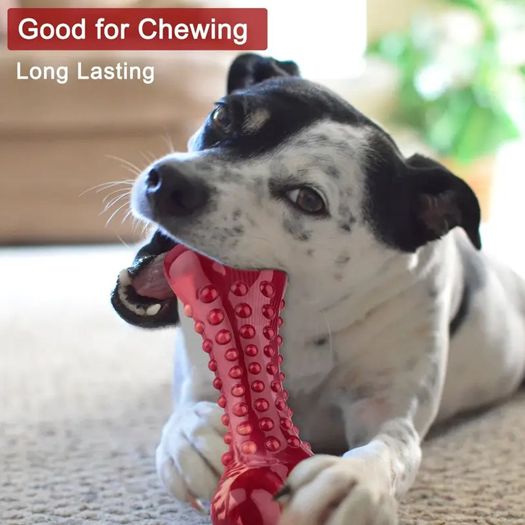 Durable Dog Toy for Aggressive Chewers