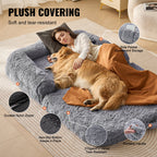 Human-Size Dog Bed
