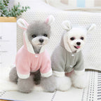 Bear Ear Hooded Dog Sweater
