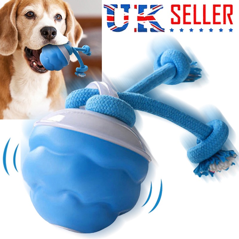 Smart Interactive Dog Ball Toy — Motion-Activated with Rope & Sound