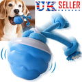 Smart Interactive Dog Ball Toy — Motion-Activated with Rope & Sound