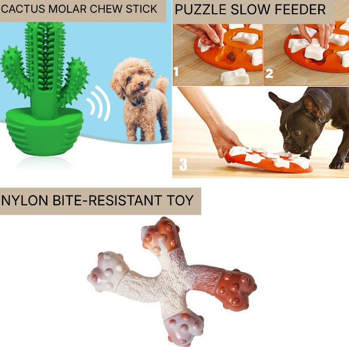 Save Your Furniture Kit – Cactus Molar Chew Stick, Puppy Puzzle Slow Feeder & Nylon Chew Toy