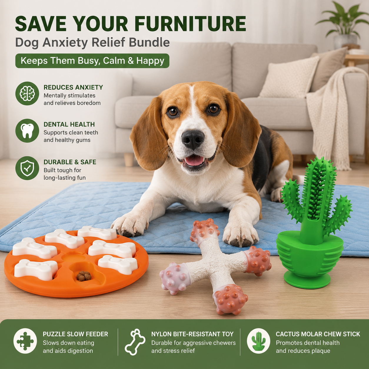 Save Your Furniture Kit | Cactus Molar Chew Stick, Puzzle Slow Feeder & Nylon Chew Toy for Dogs