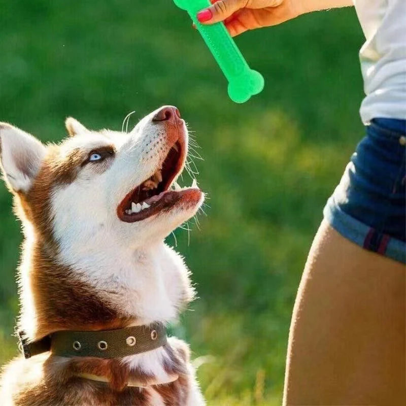 Paw Print Rubber Bone Dog Chew Toy