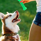 Paw Print Rubber Bone Dog Chew Toy