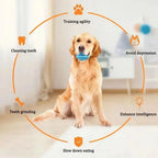Natural Rubber Snack Ball Dog Chew Toy