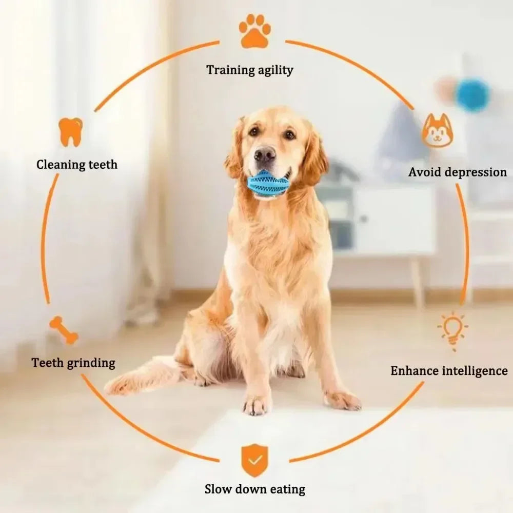 Natural Rubber Snack Ball Dog Chew Toy