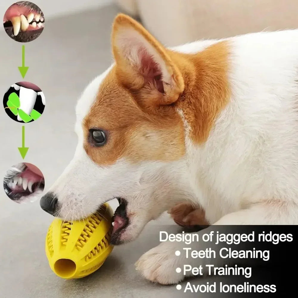 Natural Rubber Snack Ball Dog Chew Toy