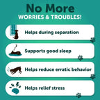Hemp Calming Chews for Dogs