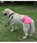 Dog Physiological Pants
