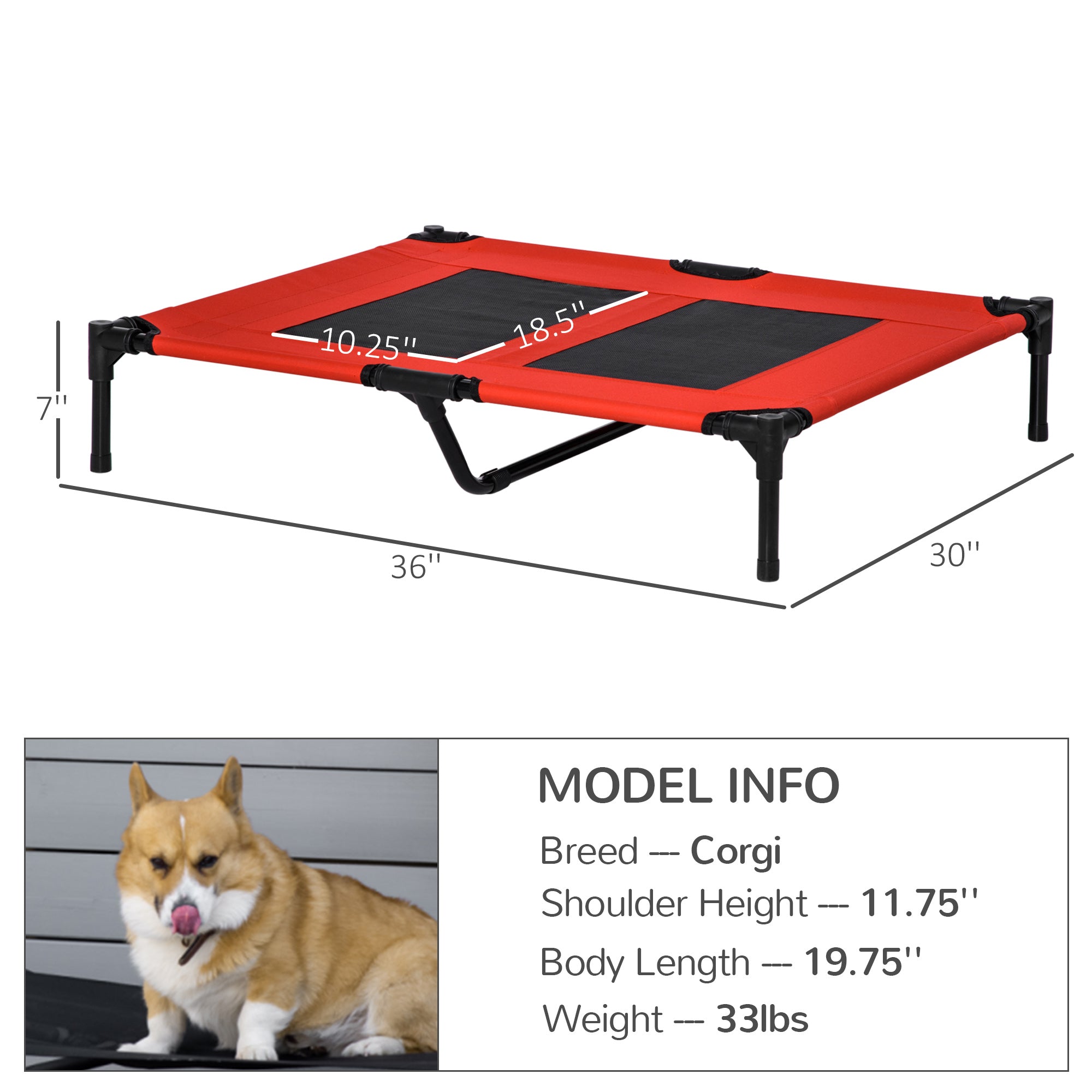 Elevated Cooling Dog Cot