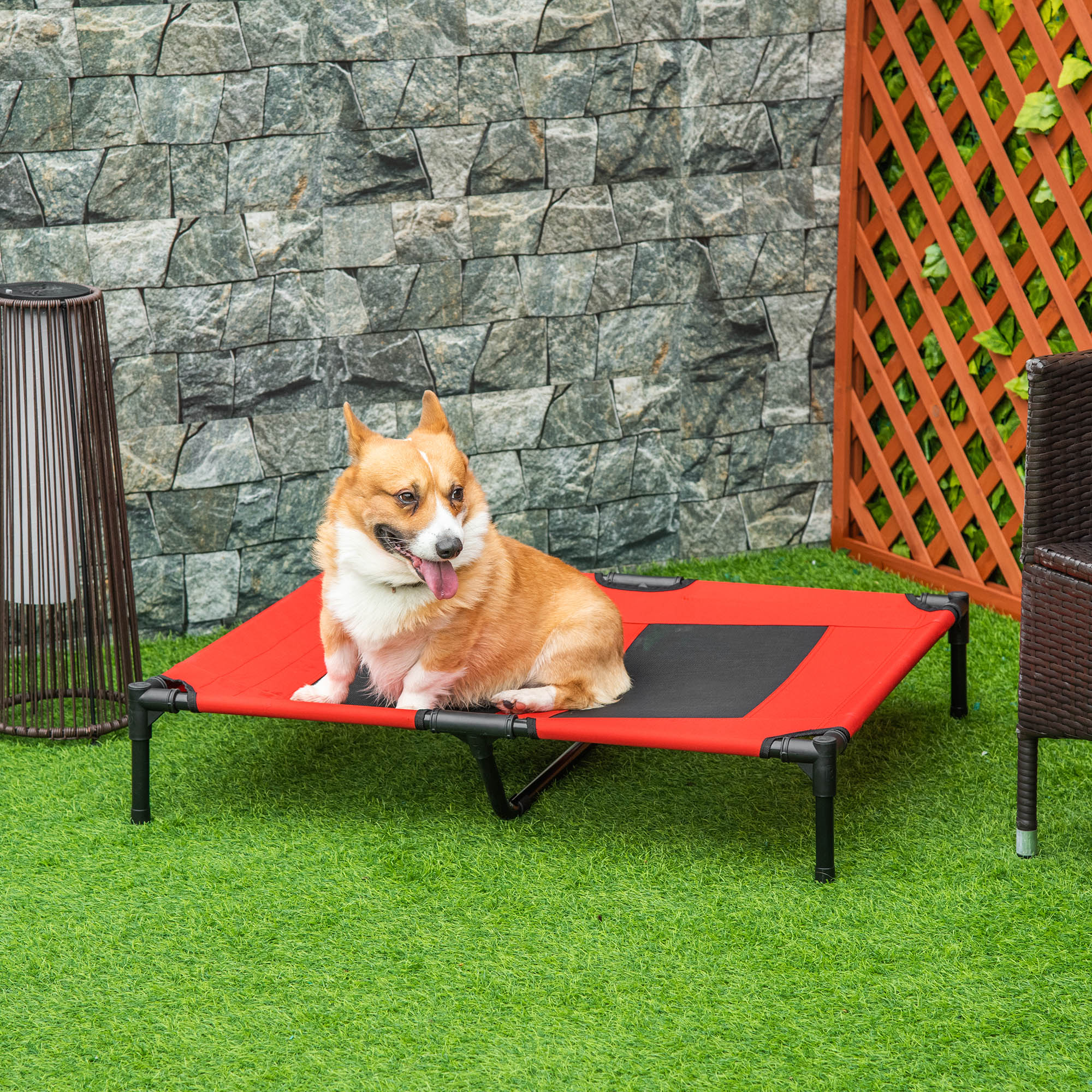 Elevated Cooling Dog Cot