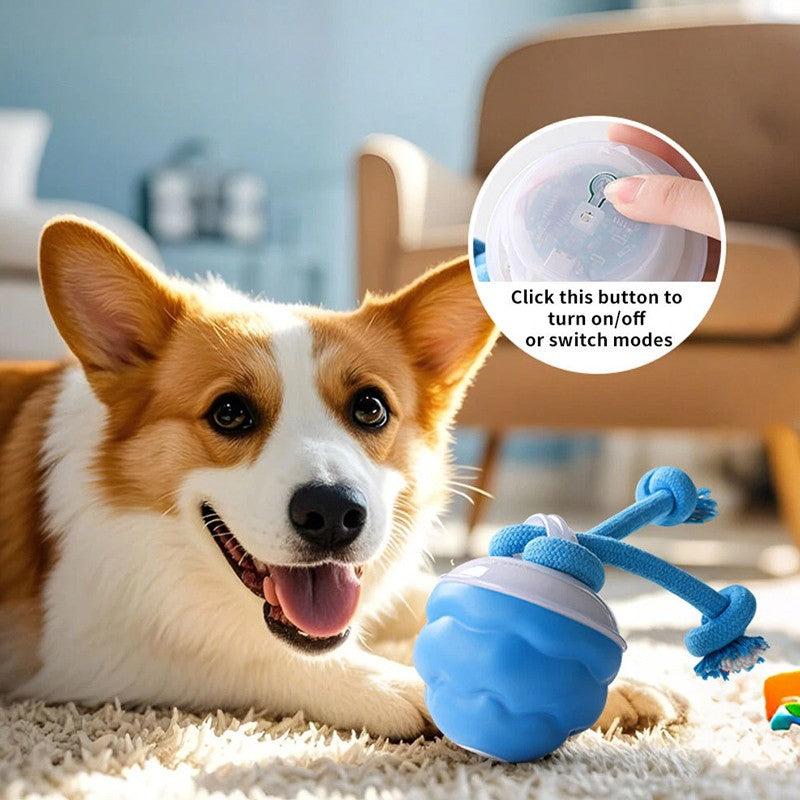 Smart Interactive Dog Ball Toy — Motion-Activated with Rope & Sound