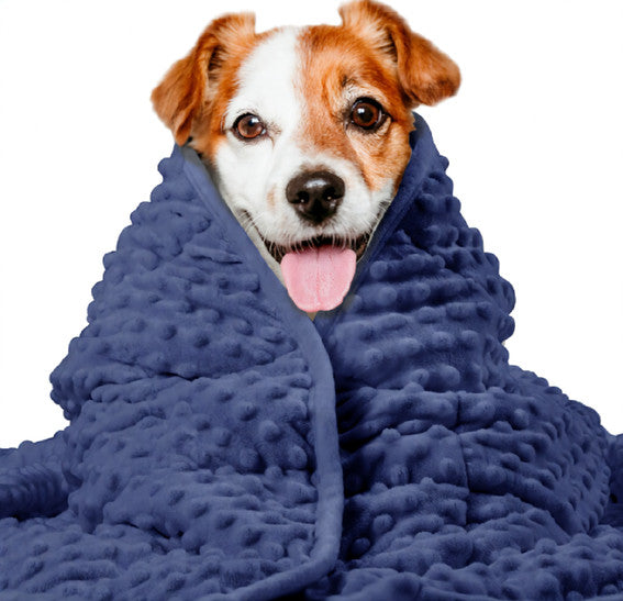 Dog Anxiety Blanket