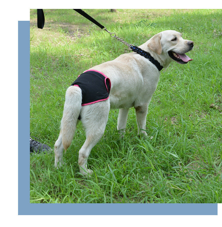 Dog Physiological Pants